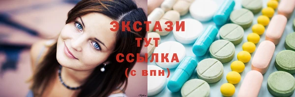 ECSTASY Богородск